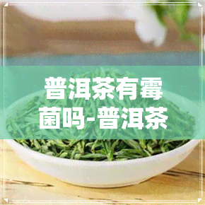 普洱茶有霉菌吗-普洱茶有霉菌吗能喝吗