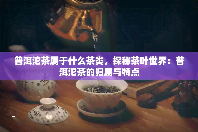 普洱沱茶属于什么茶类，探秘茶叶世界：普洱沱茶的归属与特点