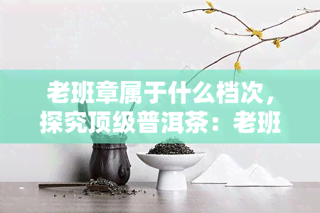 老班章属于什么档次，探究顶级普洱茶：老班章的档次与品质