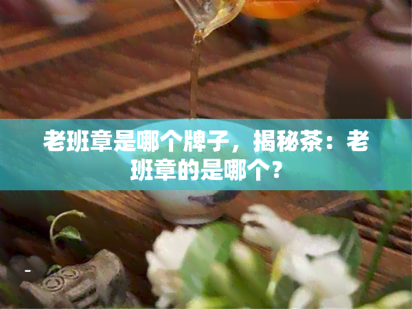 老班章是哪个牌子，揭秘茶：老班章的是哪个？