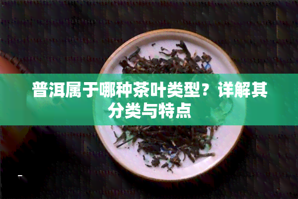 普洱属于哪种茶叶类型？详解其分类与特点