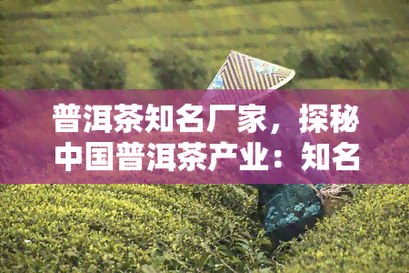 普洱茶知名厂家，探秘中国普洱茶产业：知名厂家一览