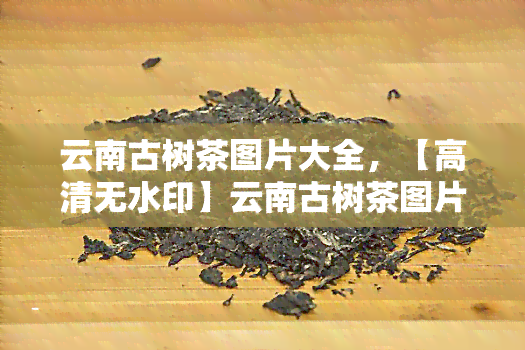 云南古树茶图片大全，【高清无水印】云南古树茶图片大全，一网打尽！