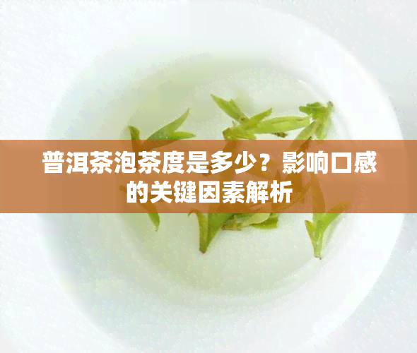 普洱茶泡茶度是多少？影响口感的关键因素解析