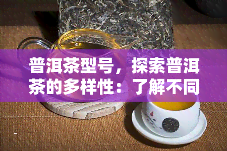 普洱茶型号，探索普洱茶的多样性：了解不同型号的特点和风味