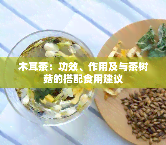 木耳茶：功效、作用及与茶树菇的搭配食用建议