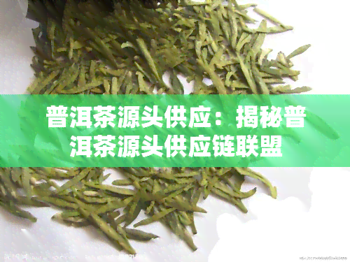 普洱茶源头供应：揭秘普洱茶源头供应链联盟