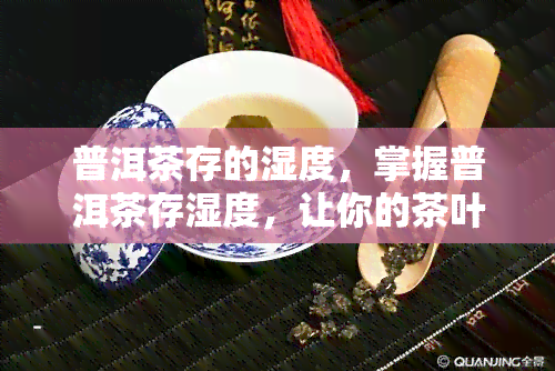 普洱茶存的湿度，掌握普洱茶存湿度，让你的茶叶更加美味持久！