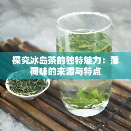 探究冰岛茶的独特魅力：薄荷味的来源与特点