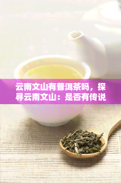 云南文山有普洱茶吗，探寻云南文山：是否有传说中的普洱茶？