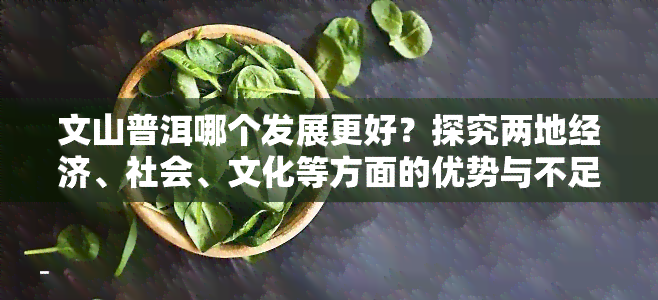 文山普洱哪个发展更好？探究两地经济、社会、文化等方面的优势与不足