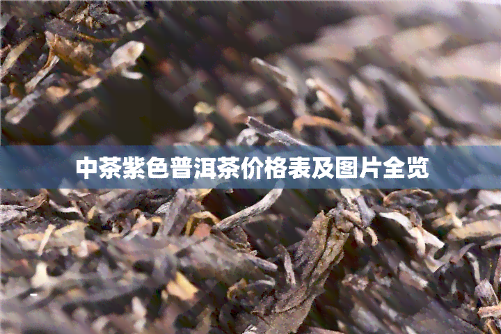 中茶紫色普洱茶价格表及图片全览