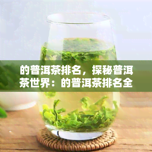 的普洱茶排名，探秘普洱茶世界：的普洱茶排名全解析