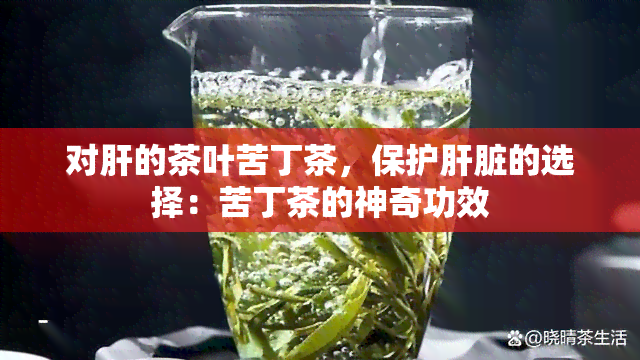 对肝的茶叶苦丁茶，保护肝脏的选择：苦丁茶的神奇功效