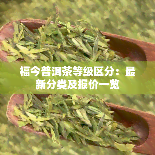 福今普洱茶等级区分：最新分类及报价一览