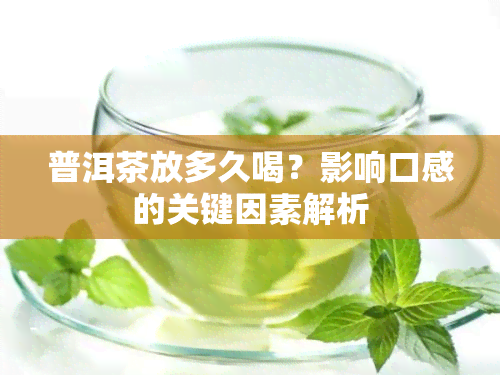 普洱茶放多久喝？影响口感的关键因素解析