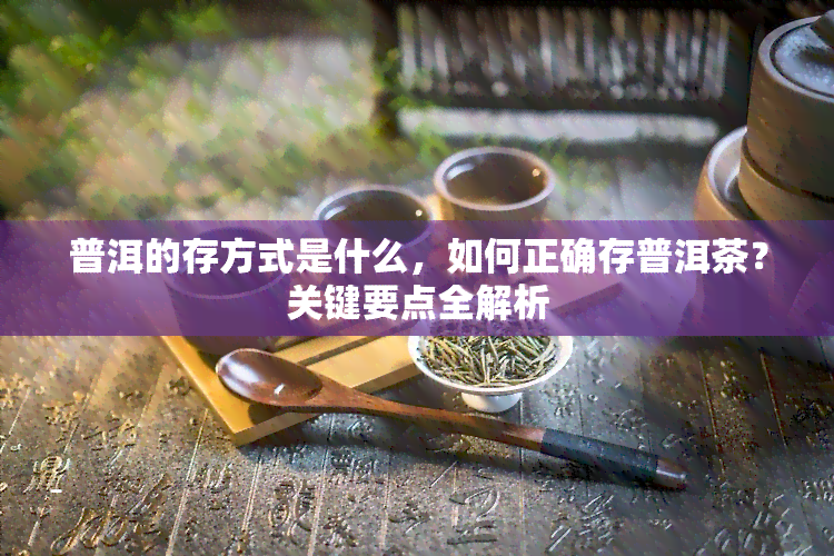 普洱的存方式是什么，如何正确存普洱茶？关键要点全解析