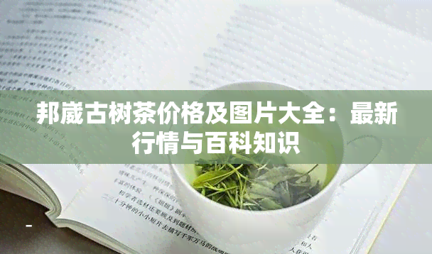 邦崴古树茶价格及图片大全：最新行情与百科知识