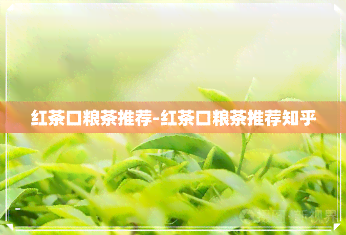 红茶口粮茶推荐-红茶口粮茶推荐知乎