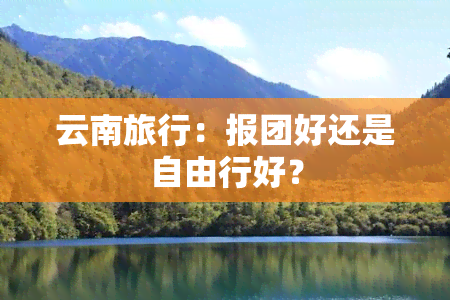 云南旅行：报团好还是自由行好？