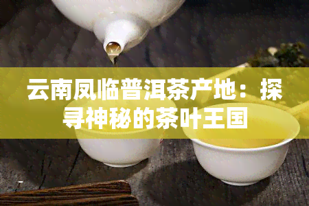 云南凤临普洱茶产地：探寻神秘的茶叶王国