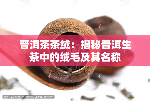 普洱茶茶绒：揭秘普洱生茶中的绒毛及其名称