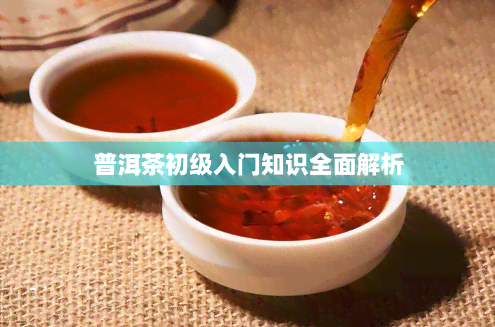 普洱茶初级入门知识全面解析