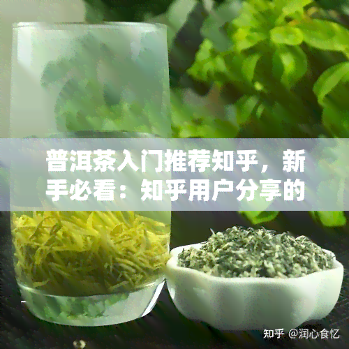 普洱茶入门推荐知乎，新手必看：知乎用户分享的普洱茶入门推荐