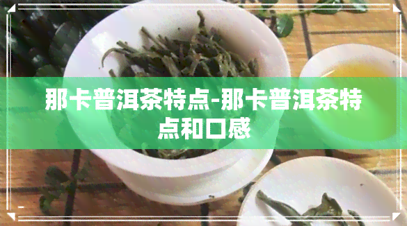 那卡普洱茶特点-那卡普洱茶特点和口感