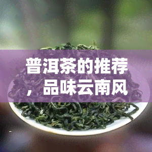 普洱茶的推荐，品味云南风情：普洱茶的推荐与品鉴指南