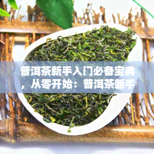 普洱茶新手入门必备宝典，从零开始：普洱茶新手入门必备宝典