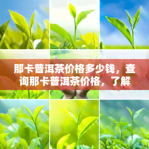 那卡普洱茶价格多少钱，查询那卡普洱茶价格，了解市场价格走势