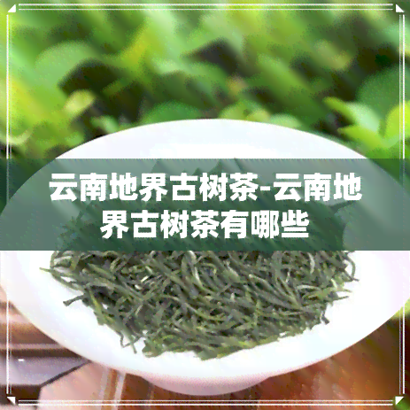 云南地界古树茶-云南地界古树茶有哪些