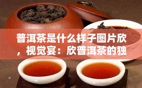 普洱茶是什么样子图片欣，视觉宴：欣普洱茶的独特形态与美丽图片