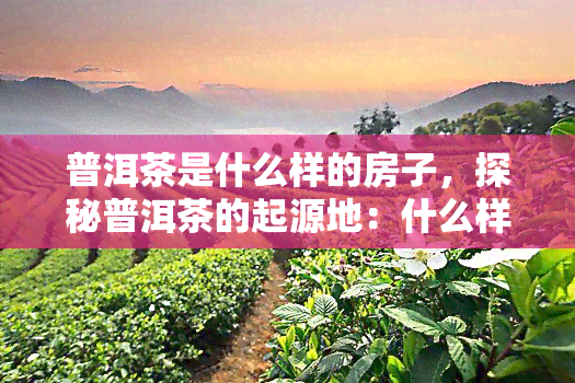 普洱茶是什么样的房子，探秘普洱茶的起源地：什么样的房子孕育了这一独特饮品？