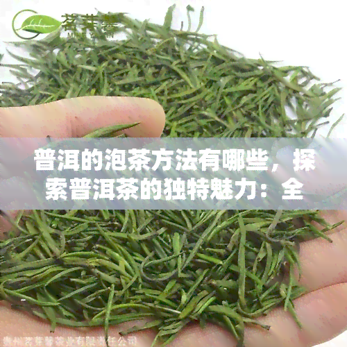 普洱的泡茶方法有哪些，探索普洱茶的独特魅力：全面解析其泡茶方法