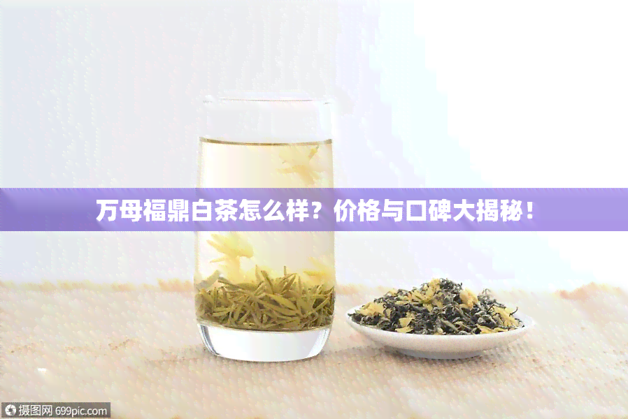 万母福鼎白茶怎么样？价格与口碑大揭秘！