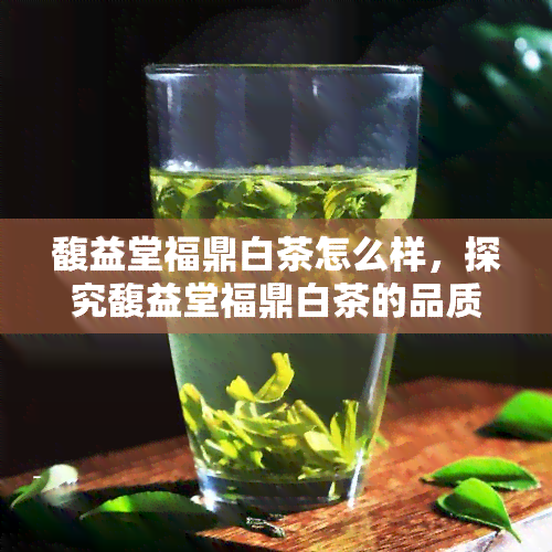 馥益堂福鼎白茶怎么样，探究馥益堂福鼎白茶的品质与口感，让你了解这款茶叶的魅力所在！