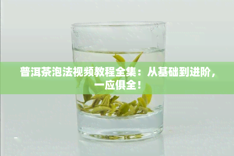 普洱茶泡法视频教程全集：从基础到进阶，一应俱全！