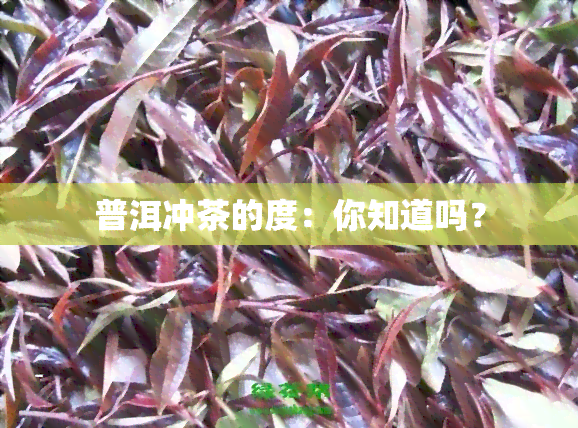 普洱冲茶的度：你知道吗？