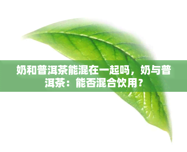 奶和普洱茶能混在一起吗，奶与普洱茶：能否混合饮用？