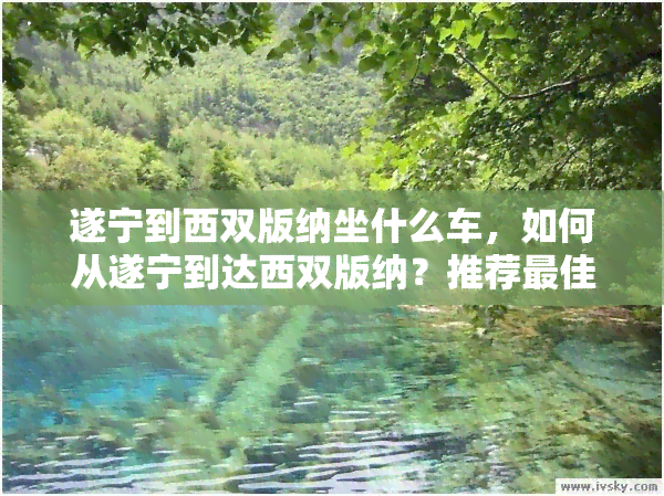 遂宁到西双版纳坐什么车，如何从遂宁到达西双版纳？推荐更佳交通方式！