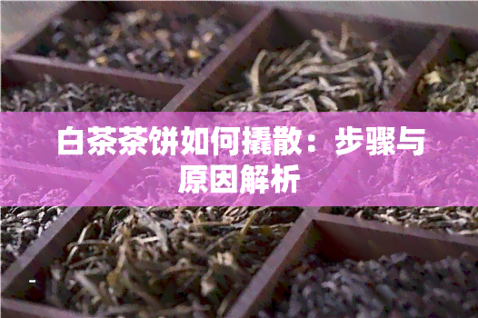 白茶茶饼如何撬散：步骤与原因解析