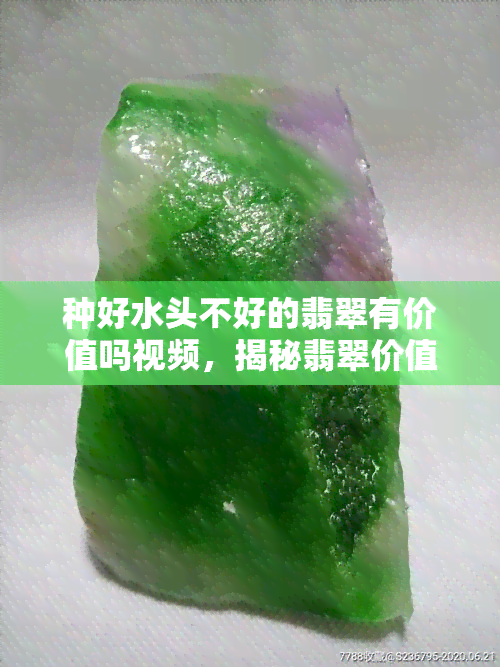 种好水头不好的翡翠有价值吗视频，揭秘翡翠价值：种好但水头差的翡翠是否有价值？看视频揭晓！