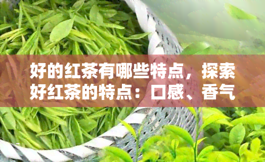 好的红茶有哪些特点，探索好红茶的特点：口感、香气和产地解析