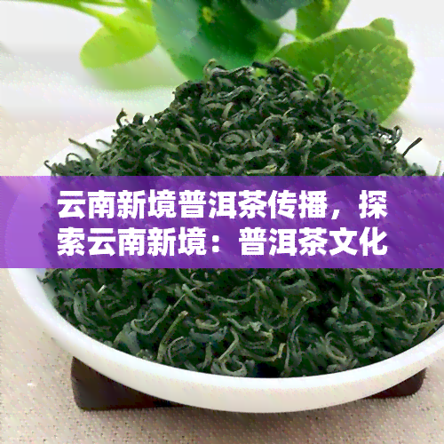 云南新境普洱茶传播，探索云南新境：普洱茶文化传播的创新之路