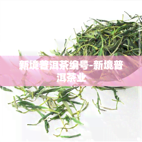 新境普洱茶编号-新境普洱茶业