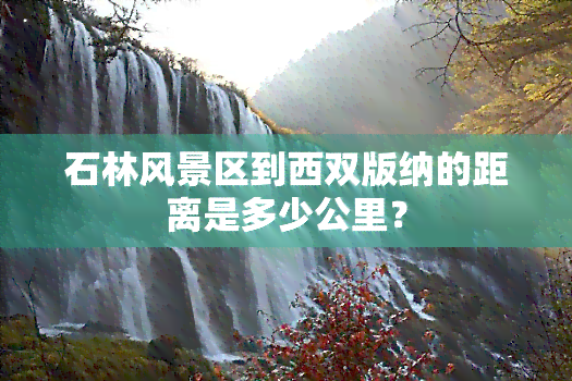 石林风景区到西双版纳的距离是多少公里？