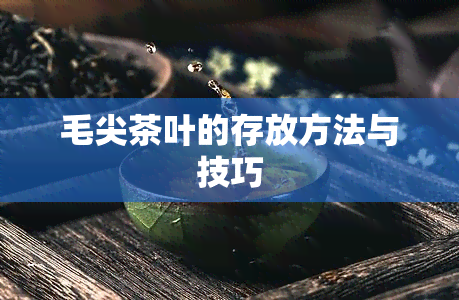 毛尖茶叶的存放方法与技巧