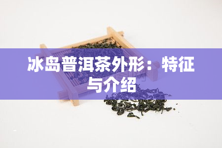 冰岛普洱茶外形：特征与介绍